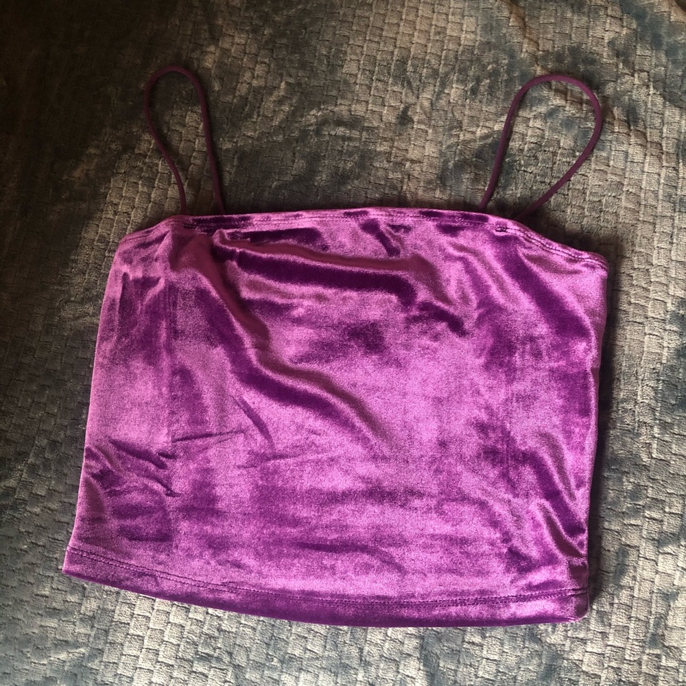 Velvet Crop Top NEVER WORN